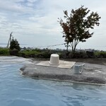 いちのいで会館 - 男湯(景観の湯)
            岩風呂(奥側)