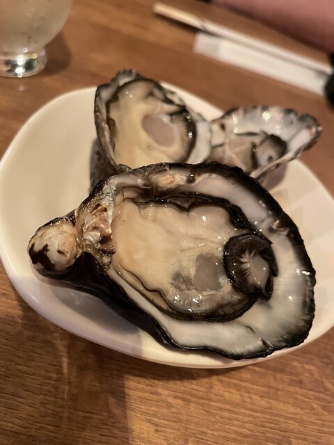 Taishu Ramen Sakaba Kikyo