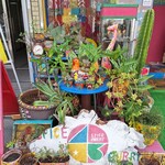 スパイスカレー43 - 