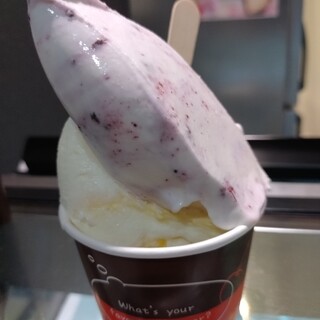 チェリーランドさがえ_1