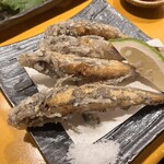 鮮魚料理 居酒屋 ちゃき - 