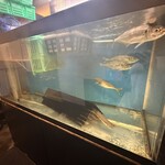 はじめの一歩 - 