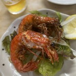 大衆酒蔵 幸楽 - 