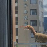 越前若狭の旬と地酒 頂き枡 - 
