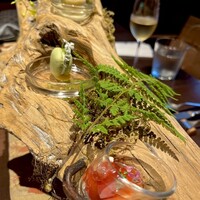 タケル クインディチ(LOQUAT) 西伊豆 - 