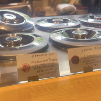 タケル クインディチ(LOQUAT) 西伊豆 - 