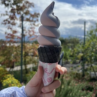 口コミ一覧 : OISHI PARK CAFE （オオイシ パーク カフェ） - 河口湖