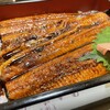 宝魚園