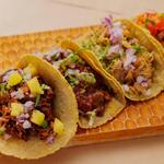 タコファナティコ - 