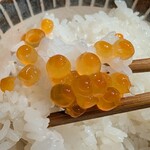 お出汁 銀シャリ アテ オオカミ - 