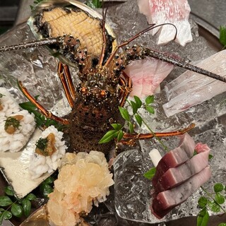 全国各地の漁場から仕入れる「朝獲れの鮮魚」をご堪能ください