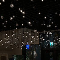 TRATTORIA PIZZERIA 207 渋谷店 - 