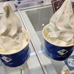 With salt 伯方の塩 - 