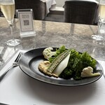 マーサーブランチ テラスハウス - 