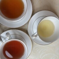 tcc GINZA - 