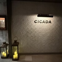 CICADA - 