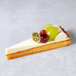 PATISSERIE TOOTH TOOTH - 