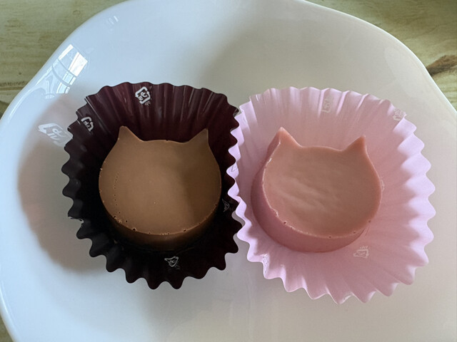 NEKO NEKO CHEESECAKE Okazaki Ten photo 3