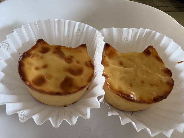 NEKO NEKO CHEESECAKE Okazaki Ten photo 2