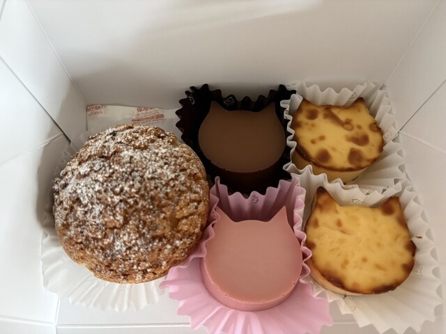 NEKO NEKO CHEESECAKE Okazaki Ten photo 5