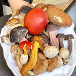 プレゼンテ スギ - 