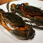 仁修樓 - .....浜名湖のドウマンガニ.....