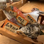 魚炉魚炉寿し - 
