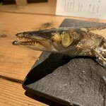 魚炉魚炉寿し - 