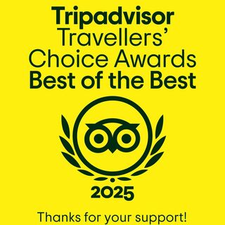 2024TripAdviserブラジル料理、東京No.1！