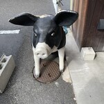 ぶた福 チャコール - 