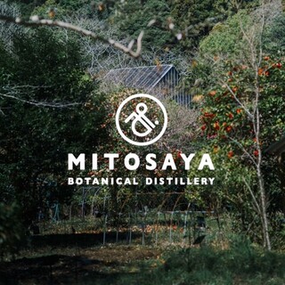 『mitosaya』カクテル