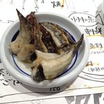 小川の魚 - ウナギのしっぽ