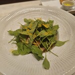 トラットリア チェーロ - 