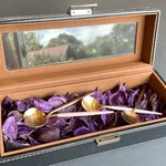 プレゼンテ スギ - 