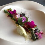 プレゼンテ スギ - Sugi畑をお皿に乗せて