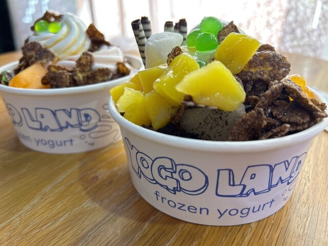 YOGOLAND - 新大久保/ジェラート・アイスクリーム | 食べログ