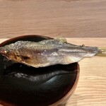馳走屋河の - 