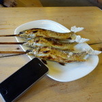 杉ケ瀬ヤナ - ２０１４年これで特大・・・今年は天候に恵まれず、過去１５年間で最悪の年でした