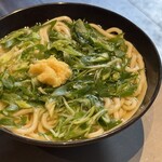 朝うどん - 九条ネギうどん（790円）