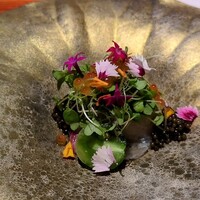 WINE食堂 緒乃 - 