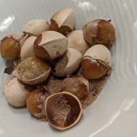 下鴨茶寮 東のはなれ - 