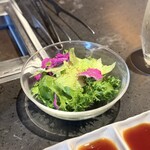 PONGA PREMIUM - サラダ