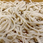 Oiwake Soba Takumi Kikori Teuchi Soba Kaoriya Hatsuchishiniwaten - 二八そば