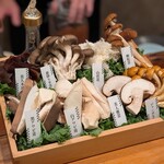 TOKYO TANG TANG - 