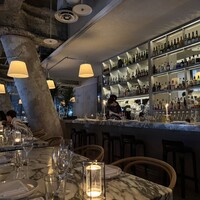 THE APOLLO - 