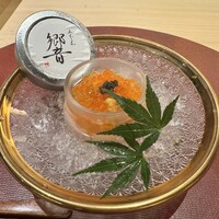 五本木 響 - 