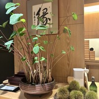 五本木 響 - 