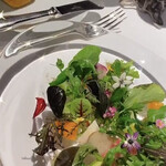 レフェルヴェソンス - 