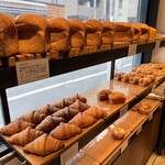 セテュヌ ボンニデー - 