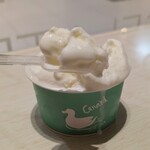 Gelateria Canard - ジェラードの「ミルク」